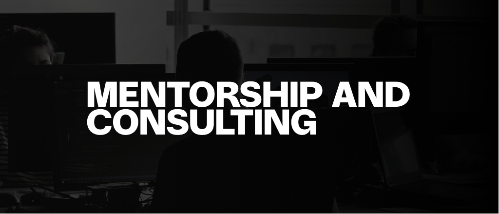 Mentorship and Consulting